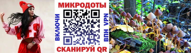 Псилоцибиновые грибы MAGIC MUSHROOMS  Калачинск 